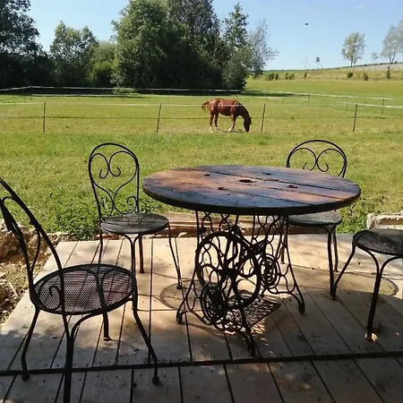 Quarter Horse 55 Vadelaincourt